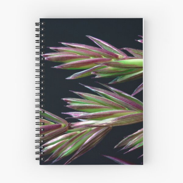 Item preview, Grass Seed Macro designed and sold by Sandra Foster.