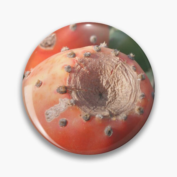 Item preview, Prickly Pear Cactus Fruit - Indian Fig Close Up designed and sold by taiche.