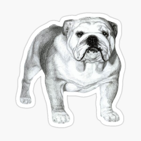 Item preview, English Bulldog designed and sold by Brush & Soul.
