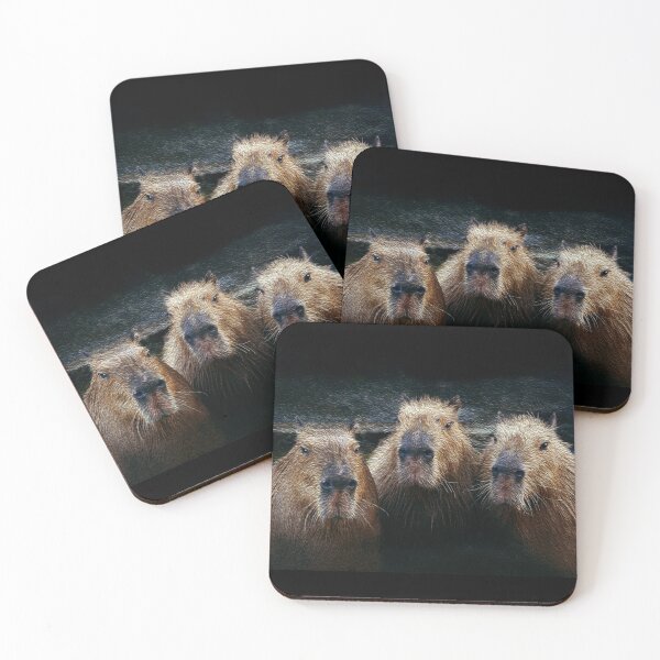 Item preview, 3 Capybaras chilling designed and sold by friendlyfauna.