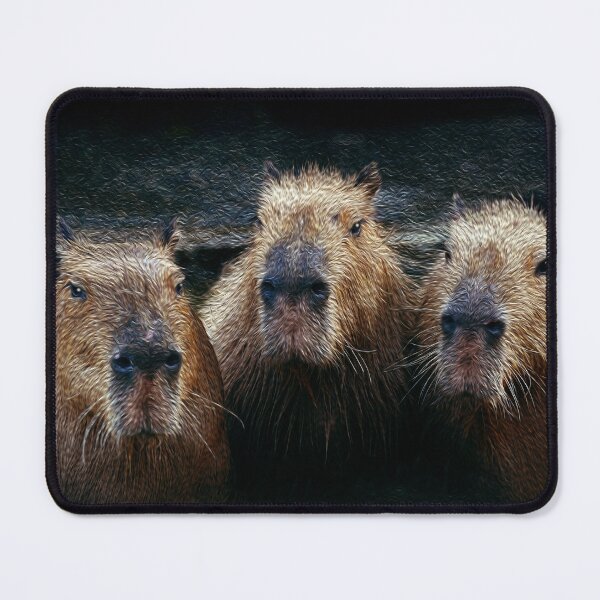Item preview, 3 Capybaras chilling designed and sold by friendlyfauna.