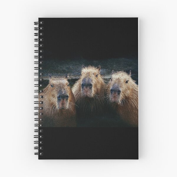Item preview, 3 Capybaras chilling designed and sold by friendlyfauna.