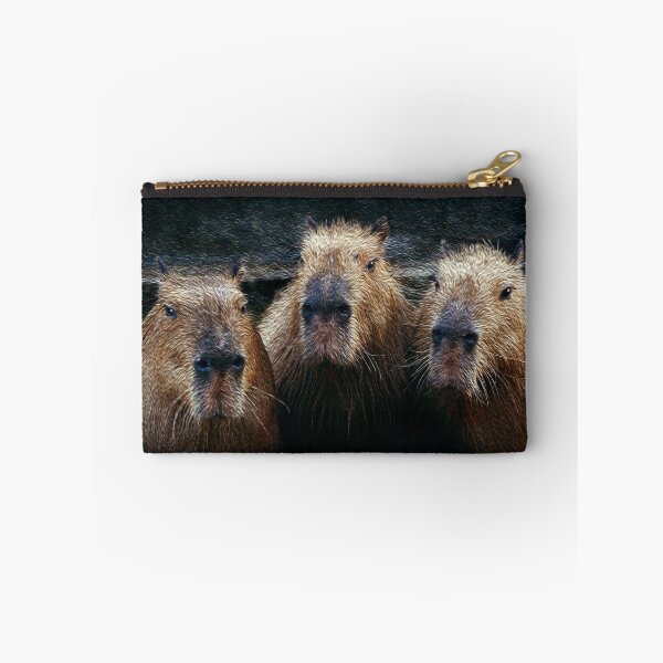 Item preview, 3 Capybaras chilling designed and sold by friendlyfauna.