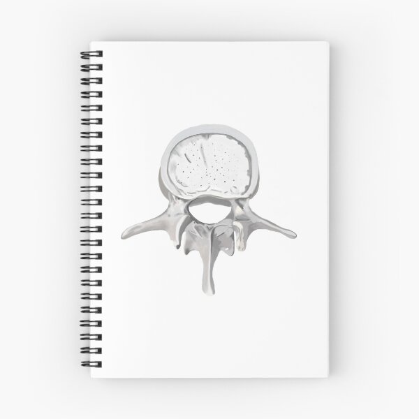 Item preview, Vertebral colomn designed and sold by livvysophie.