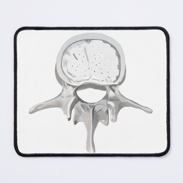 Item preview, Vertebral colomn designed and sold by livvysophie.