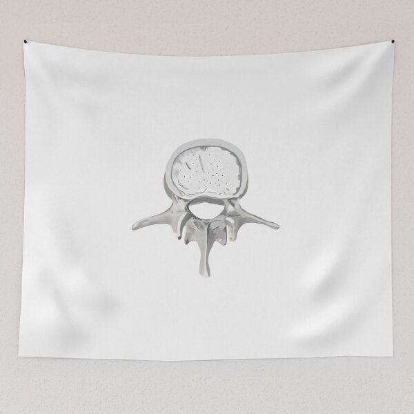 Item preview, Vertebral colomn designed and sold by livvysophie.