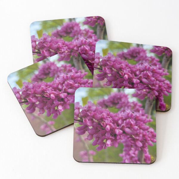 Item preview, Park Tae-gi flower on the weir of the Yeongsan River next to the Sports Complex in Buk-gu, Gwangju,korea designed and sold by human8891.