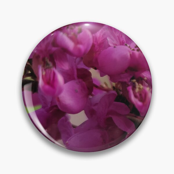 Item preview, Park Tae-gi flower on the weir of the Yeongsan River next to the Sports Complex in Buk-gu, Gwangju,korea designed and sold by human8891.