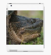 Snapper iPad Case/Skin