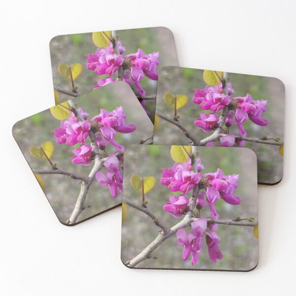 Item preview,  Park Tae-gi flower on the weir of the Yeongsan River next to the Sports Complex in Buk-gu, Gwangju,korea designed and sold by human8891.