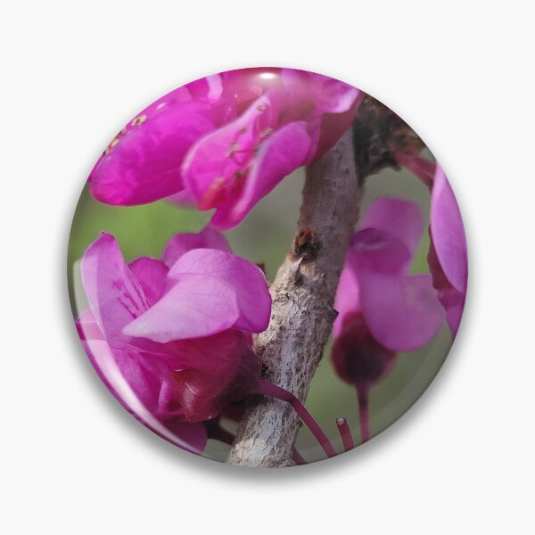 Item preview,  Park Tae-gi flower on the weir of the Yeongsan River next to the Sports Complex in Buk-gu, Gwangju,korea designed and sold by human8891.