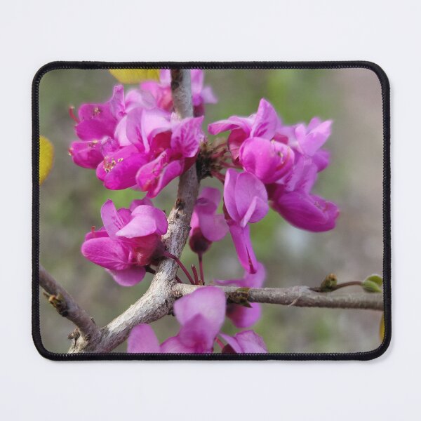 Item preview,  Park Tae-gi flower on the weir of the Yeongsan River next to the Sports Complex in Buk-gu, Gwangju,korea designed and sold by human8891.