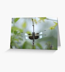 Dragonfly Greeting Card