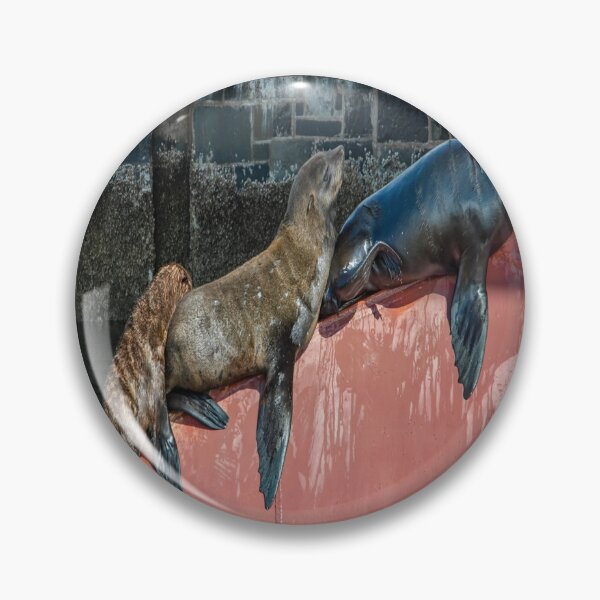 Item preview, Ascending Seals  designed and sold by Hamaridukaan.