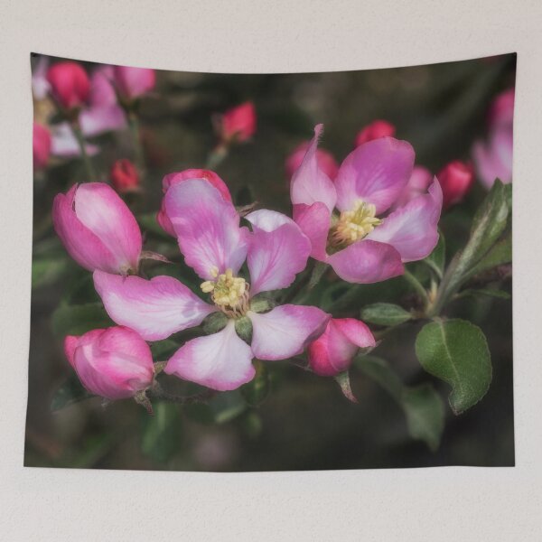 Item preview, Pink Apple blossoms designed and sold by Roger Porter Photography.