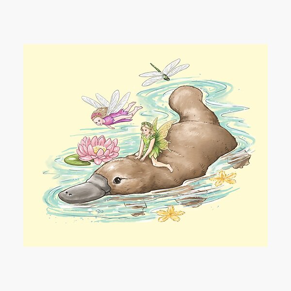 Item preview, Australian Fairies  - Platypus designed and sold by elisemartinson.