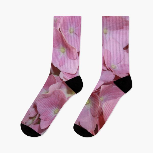 Item preview, Pink Hydrangea Flowers Close Up Photograph designed and sold by taiche.