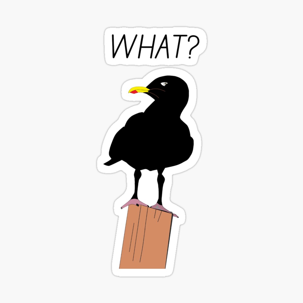 Black Crow Funny Humor Raven Black Crow Funny Humor Raven