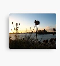 Sillouhettes at sunset Canvas Print