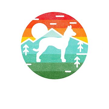 Imagen de la obra Xoloitzcuintli Xolo Summer Vintage de rafaeltto