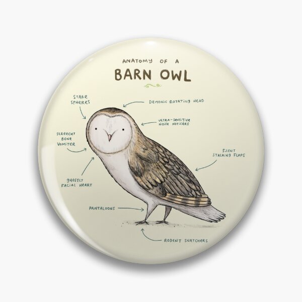 Item preview, Anatomy of a Barn Owl designed and sold by SophieCorrigan.