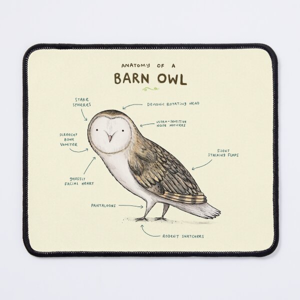 Item preview, Anatomy of a Barn Owl designed and sold by SophieCorrigan.