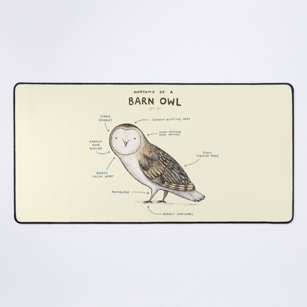 Item preview, Anatomy of a Barn Owl designed and sold by SophieCorrigan.