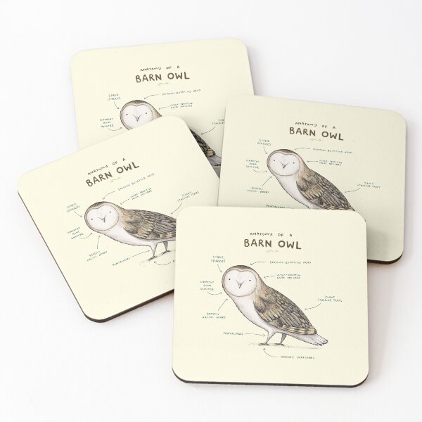 Item preview, Anatomy of a Barn Owl designed and sold by SophieCorrigan.