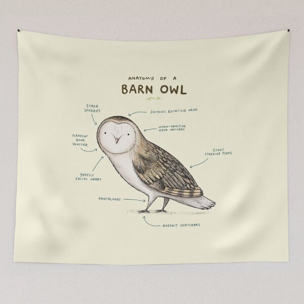 Item preview, Anatomy of a Barn Owl designed and sold by SophieCorrigan.