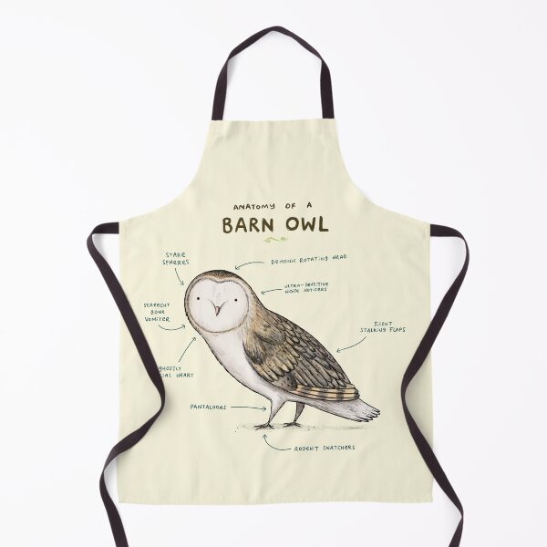 Item preview, Anatomy of a Barn Owl designed and sold by SophieCorrigan.