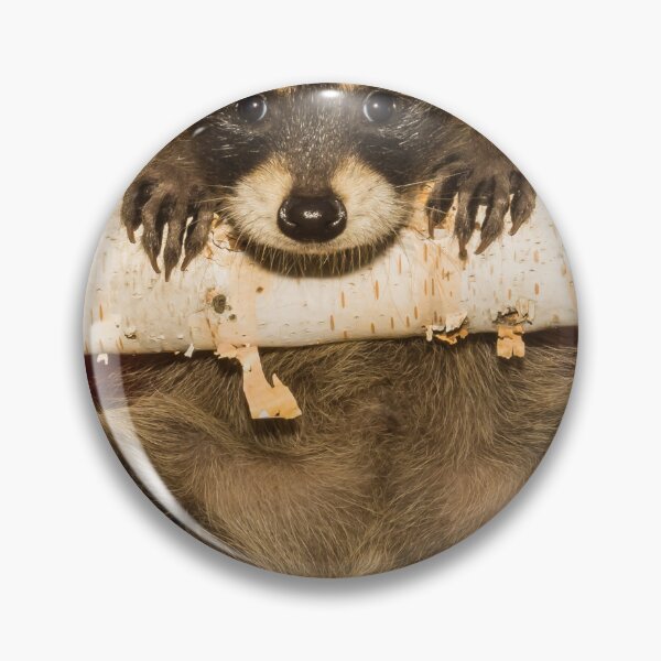 Item preview, Hang In There - Cute Baby Racoon learning to climb designed and sold by cgroenewald.