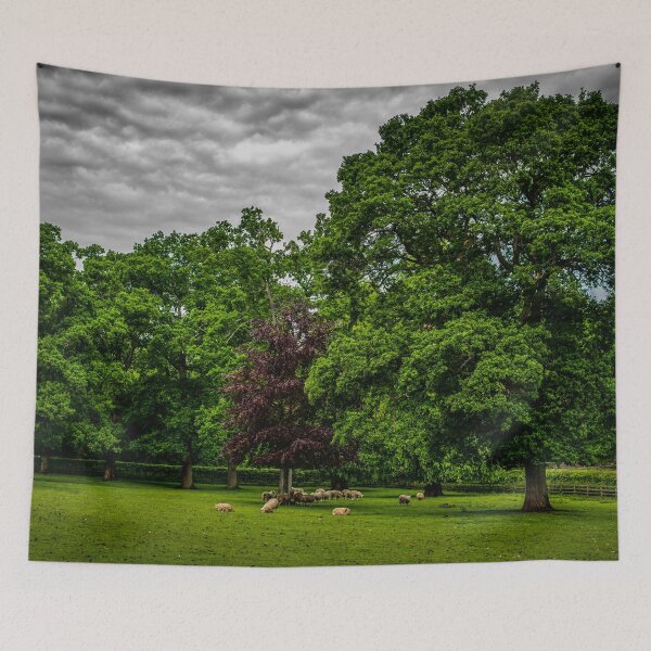 Item preview, Northumberland Sheep designed and sold by axp7884.