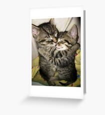 enfold Greeting Card