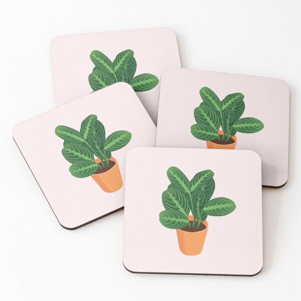 Item preview, Potted Prayer Plant designed and sold by zykydesigns.