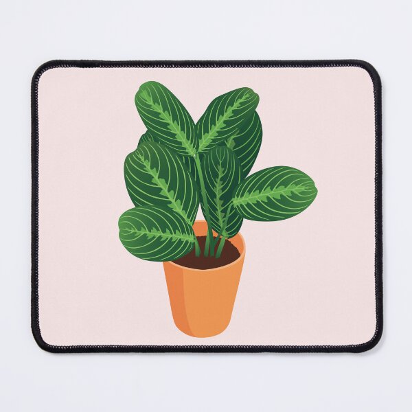 Item preview, Potted Prayer Plant designed and sold by zykydesigns.