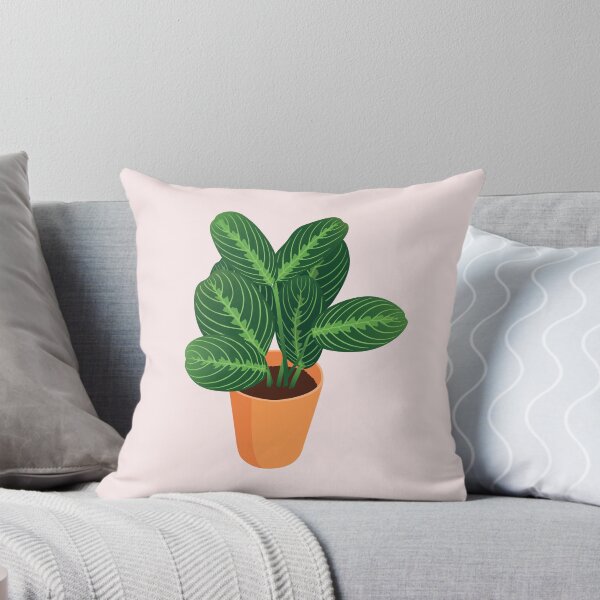 Item preview, Potted Prayer Plant designed and sold by zykydesigns.
