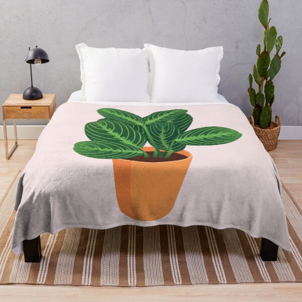 Item preview, Potted Prayer Plant designed and sold by zykydesigns.