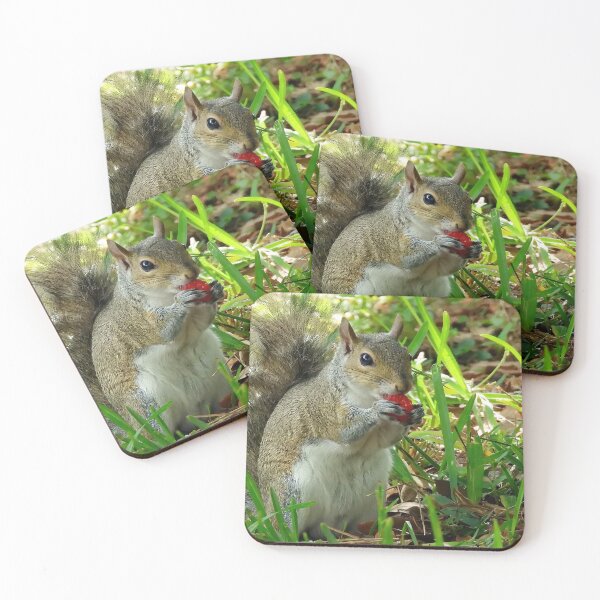 Item preview, Cute Squirrel #0022 designed and sold by Jeffrey Mask.