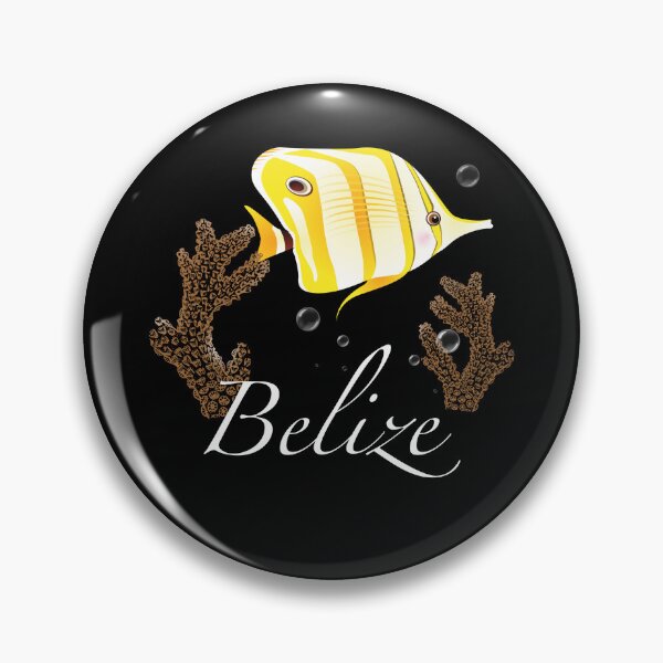 Artikelvorschau, Belize-Souvenir-Rifffisch-Design entworfen und verkauft von TipTopTapo.