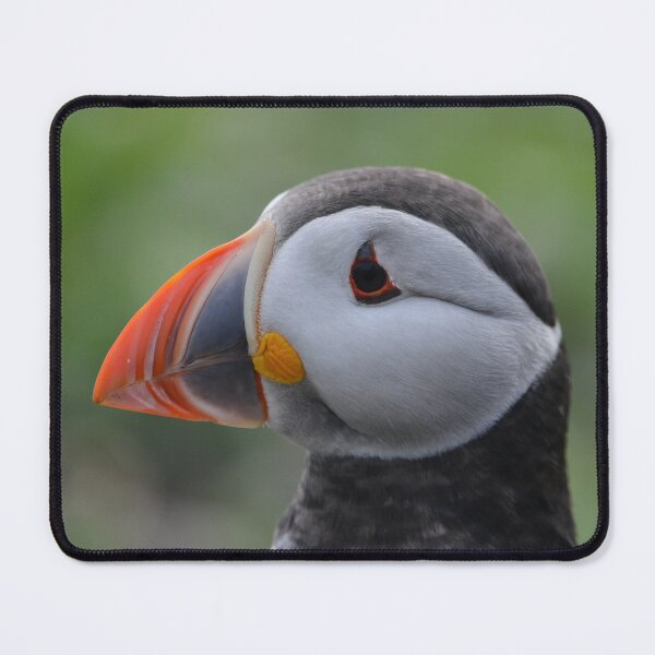 Item preview, Puffin Portrait designed and sold by ClaireChown.