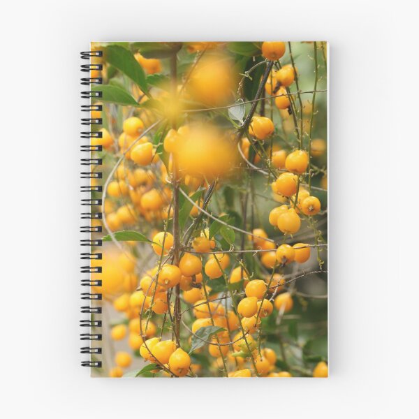 Item preview, MBG Orange 3 designed and sold by beeden.