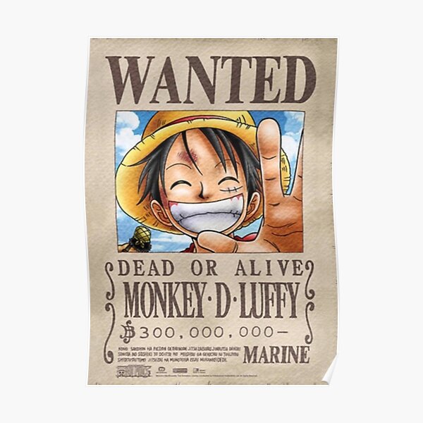 One Piece Poster