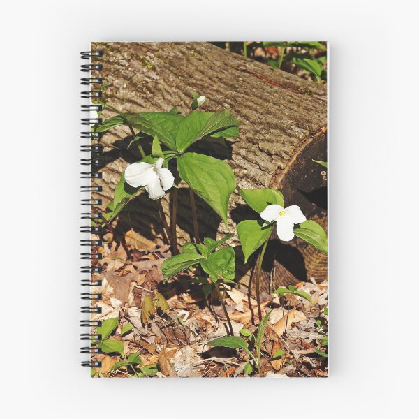 Item preview, White Trilliums designed and sold by Debbie Oppermann.
