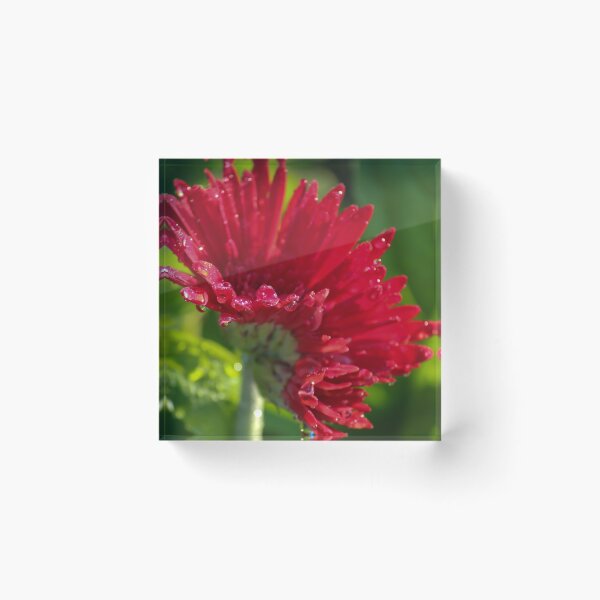 Item preview, Opening up to Spring designed and sold by KArtisanStudios.