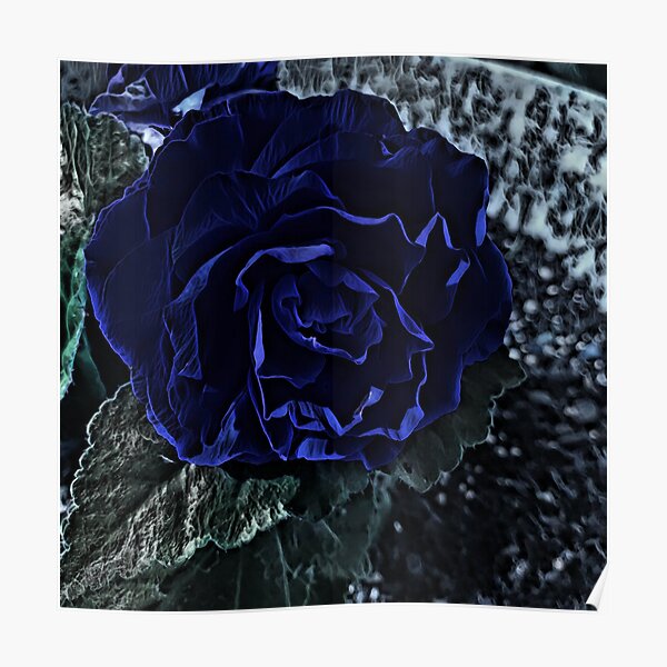 Póster «Begonia Acrílico Azul» de SunshineWalker | Redbubble