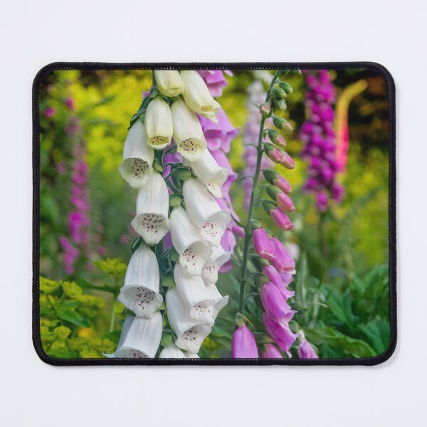 Item preview, The Flower Garden designed and sold by Jeff Wilson.