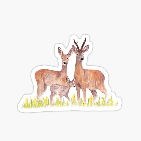 Item preview, Roe Deer designed and sold by snewdesigns.