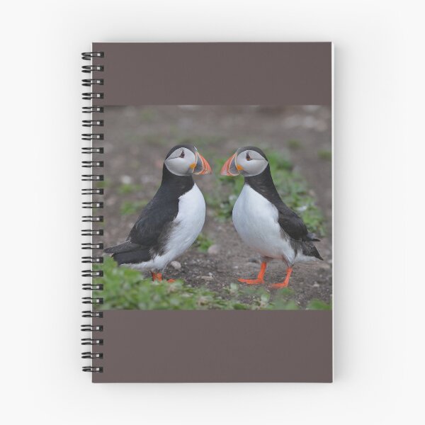 Item preview, Puffin Pair Getting Acquainted designed and sold by ClaireChown.