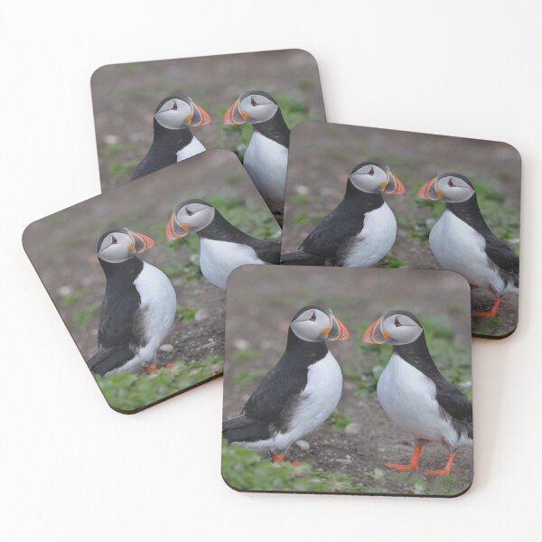 Item preview, Puffin Pair Getting Acquainted designed and sold by ClaireChown.