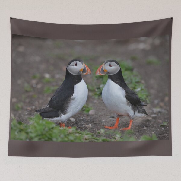 Item preview, Puffin Pair Getting Acquainted designed and sold by ClaireChown.